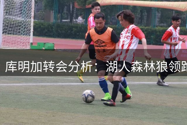 库明加转会分析：湖人森林狼领跑，雄鹿或加入竞争