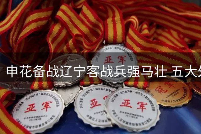 申花备战辽宁客战兵强马壮 五大外援合体朱辰杰归队